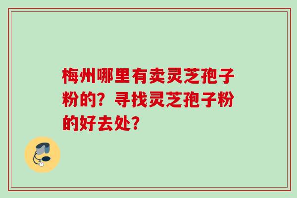 梅州哪里有卖灵芝孢子粉的？寻找灵芝孢子粉的好去处？