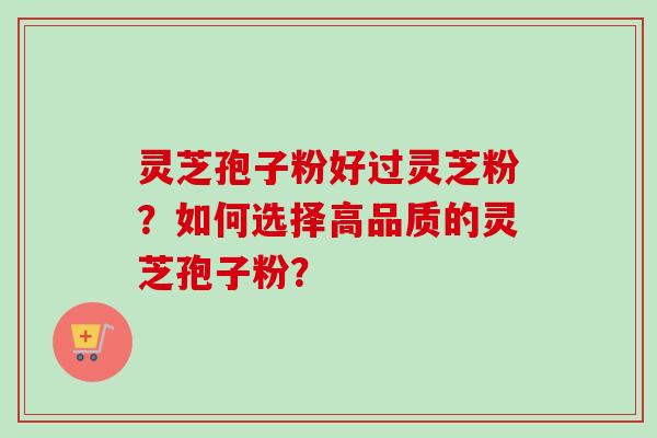灵芝孢子粉好过灵芝粉？如何选择高品质的灵芝孢子粉？