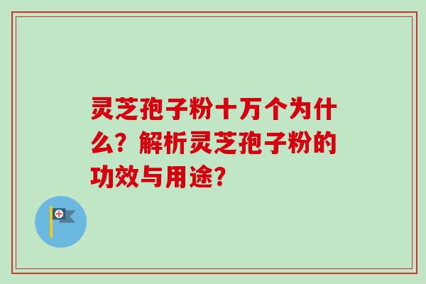 灵芝孢子粉十万个为什么？解析灵芝孢子粉的功效与用途？