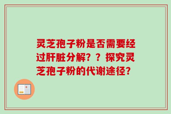 灵芝孢子粉是否需要经过分解??探究灵芝孢子粉的代谢途径? 灵芝孢子粉是否需要经过分解??探究灵芝孢子粉的代谢途径?