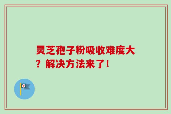 灵芝孢子粉吸收难度大?解决方法来了! 灵芝孢子粉吸收难度大?解决方法来了!