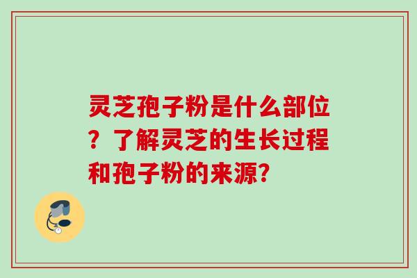灵芝孢子粉是什么部位?了解灵芝的生长过程和孢子粉的来源? 灵芝孢子粉是什么部位?了解灵芝的生长过程和孢子粉的来源?