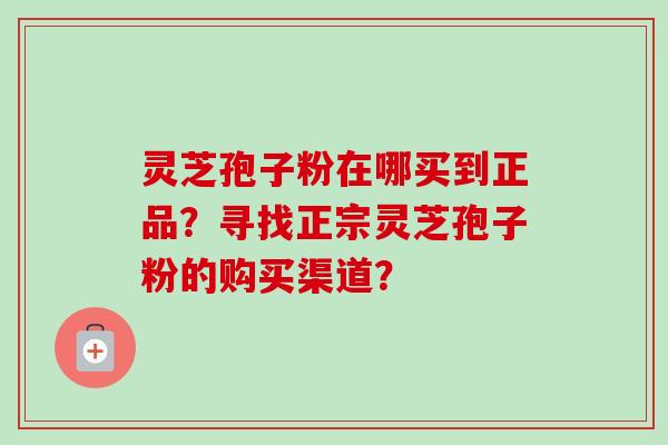 灵芝孢子粉在哪买到正品？寻找正宗灵芝孢子粉的购买渠道？