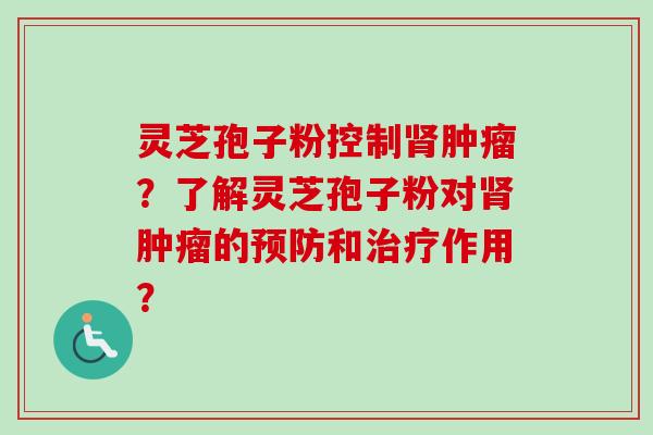 灵芝孢子粉控制?了解灵芝孢子粉对的和作用? 灵芝孢子粉控制?了解灵芝孢子粉对的和作用?