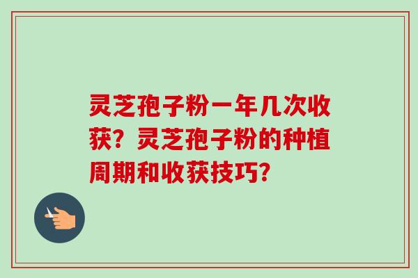 灵芝孢子粉一年几次收获？灵芝孢子粉的种植周期和收获技巧？