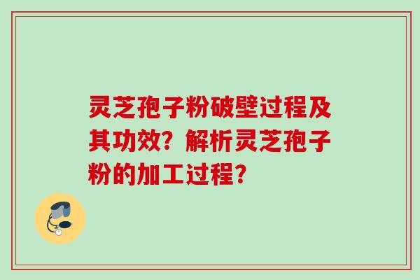 灵芝孢子粉破壁过程及其功效？解析灵芝孢子粉的加工过程？