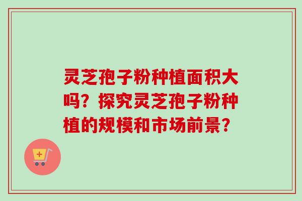 灵芝孢子粉种植面积大吗？探究灵芝孢子粉种植的规模和市场前景？