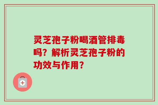 灵芝孢子粉喝酒管排毒吗？解析灵芝孢子粉的功效与作用？