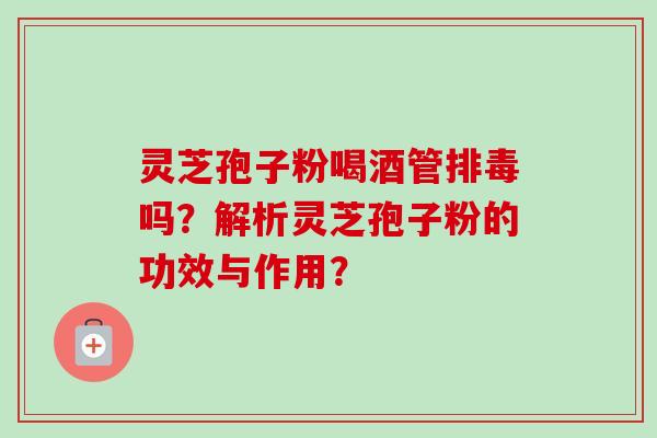 灵芝孢子粉喝酒管吗？解析灵芝孢子粉的功效与作用？