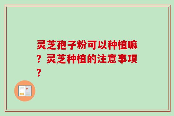 灵芝孢子粉可以种植嘛?灵芝种植的注意事项? 灵芝孢子粉可以种植嘛?灵芝种植的注意事项?