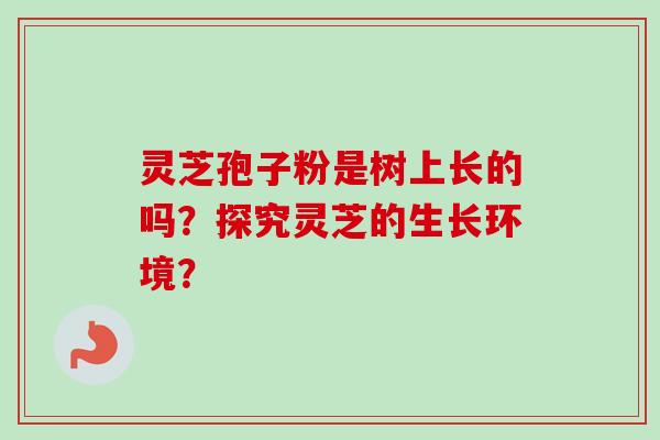 灵芝孢子粉是树上长的吗？探究灵芝的生长环境？