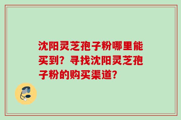 沈阳灵芝孢子粉哪里能买到?寻找沈阳灵芝孢子粉的购买渠道? 沈阳灵芝孢子粉哪里能买到?寻找沈阳灵芝孢子粉的购买渠道?