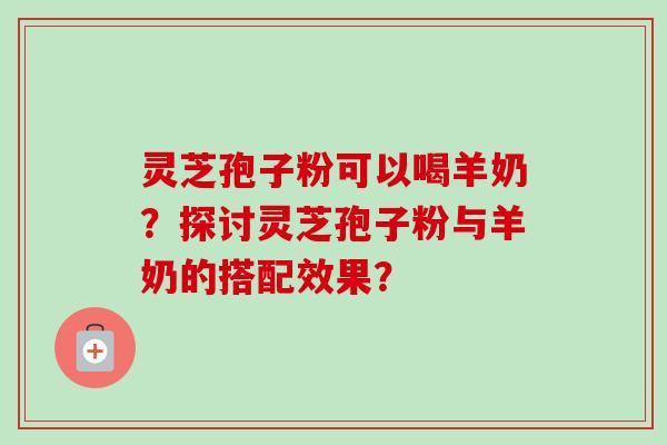 灵芝孢子粉可以喝羊奶？探讨灵芝孢子粉与羊奶的搭配效果？