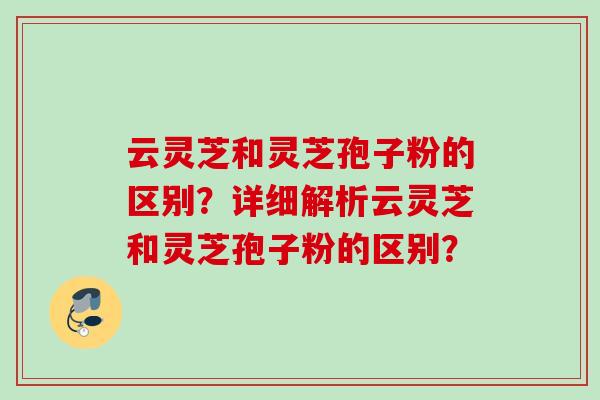 云灵芝和灵芝孢子粉的区别？详细解析云灵芝和灵芝孢子粉的区别？