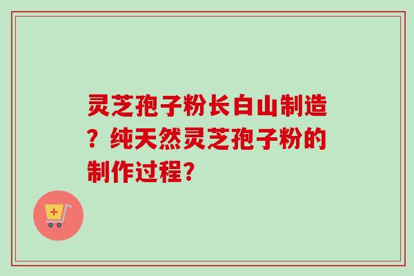 灵芝孢子粉长白山制造？纯天然灵芝孢子粉的制作过程？