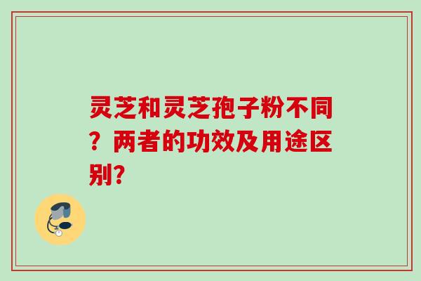 灵芝和灵芝孢子粉不同？两者的功效及用途区别？
