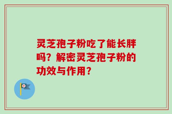 灵芝孢子粉吃了能长胖吗？解密灵芝孢子粉的功效与作用？
