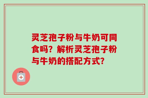 灵芝孢子粉与牛奶可同食吗？解析灵芝孢子粉与牛奶的搭配方式？