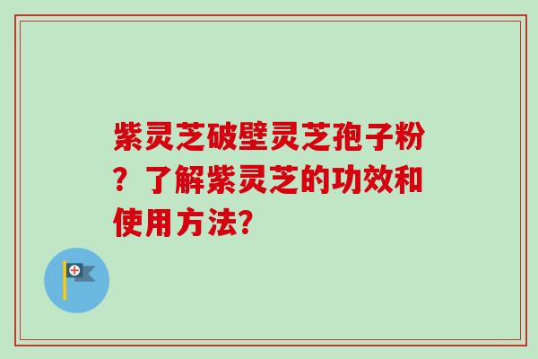 紫灵芝破壁灵芝孢子粉？了解紫灵芝的功效和使用方法？
