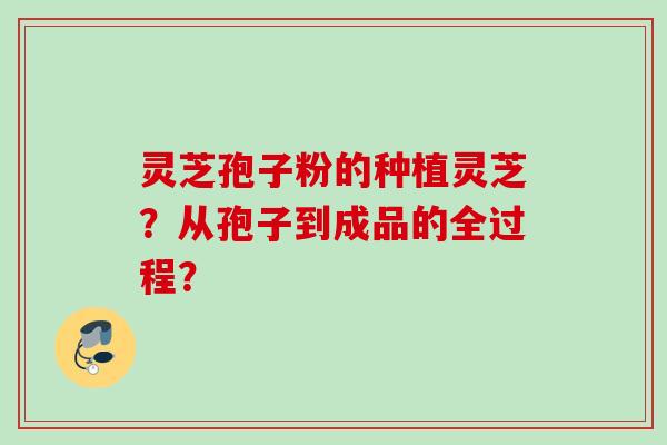 灵芝孢子粉的种植灵芝？从孢子到成品的全过程？