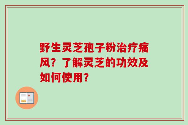 野生灵芝孢子粉痛风?了解灵芝的功效及如何使用? 野生灵芝孢子粉痛风?了解灵芝的功效及如何使用?