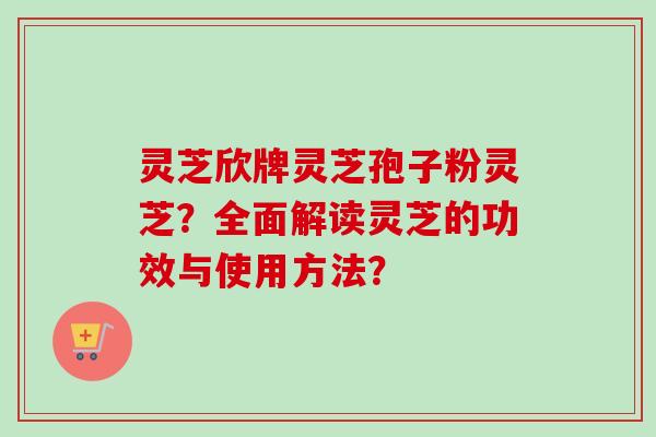 灵芝欣牌灵芝孢子粉灵芝？全面解读灵芝的功效与使用方法？
