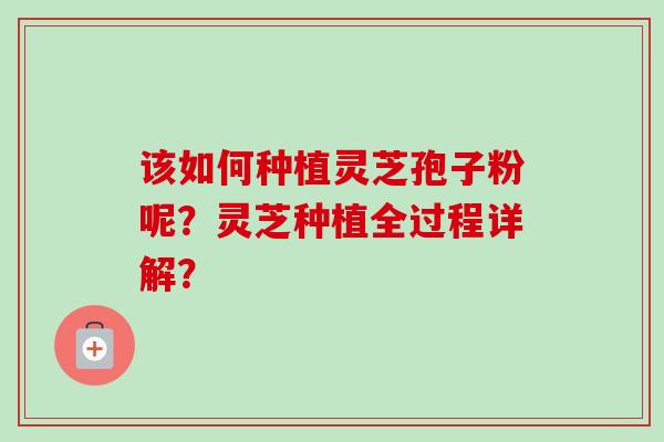 该如何种植灵芝孢子粉呢？灵芝种植全过程详解？
