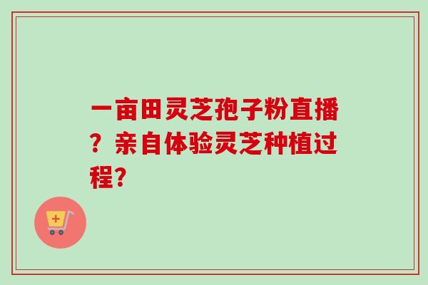 一亩田灵芝孢子粉直播?亲自体验灵芝种植过程? 一亩田灵芝孢子粉直播?亲自体验灵芝种植过程?