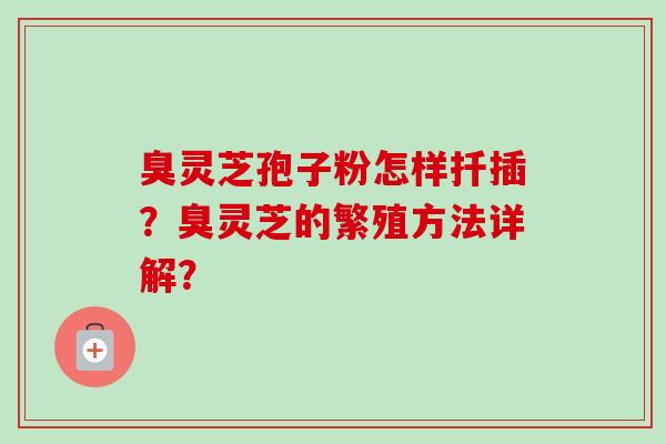 臭灵芝孢子粉怎样扦插?臭灵芝的繁殖方法详解? 臭灵芝孢子粉怎样扦插?臭灵芝的繁殖方法详解?