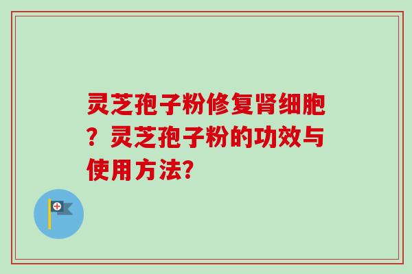 灵芝孢子粉修复细胞？灵芝孢子粉的功效与使用方法？