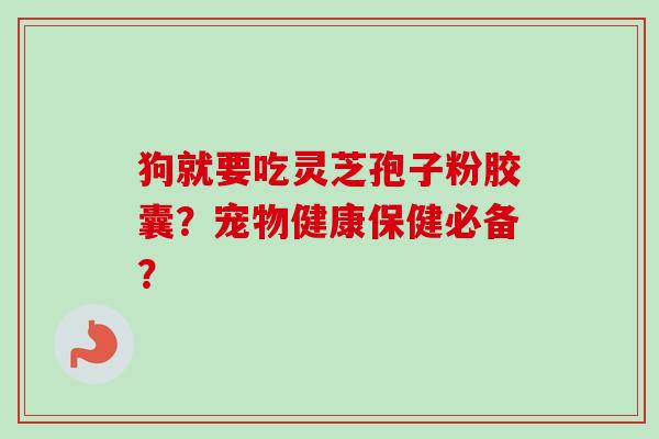 狗就要吃灵芝孢子粉胶囊?宠物健康保健必备? 狗就要吃灵芝孢子粉胶囊?宠物健康保健必备?