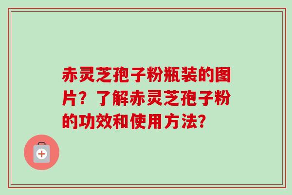 赤灵芝孢子粉瓶装的图片？了解赤灵芝孢子粉的功效和使用方法？