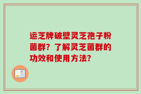 运芝牌破壁灵芝孢子粉菌群?了解灵芝菌群的功效和使用方法? 运芝牌破壁灵芝孢子粉菌群?了解灵芝菌群的功效和使用方法?