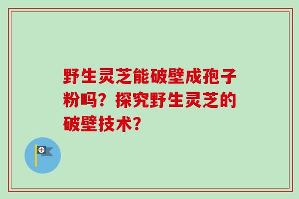 野生灵芝能破壁成孢子粉吗？探究野生灵芝的破壁技术？