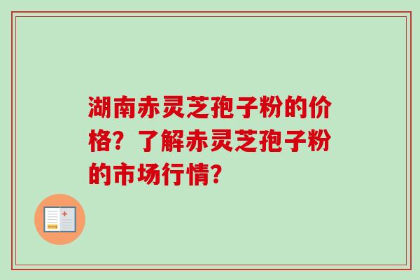 湖南赤灵芝孢子粉的价格？了解赤灵芝孢子粉的市场行情？