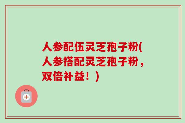 人参配伍灵芝孢子粉(人参搭配灵芝孢子粉,双倍补益!) 人参配伍灵芝孢子粉(人参搭配灵芝孢子粉,双倍补益!)