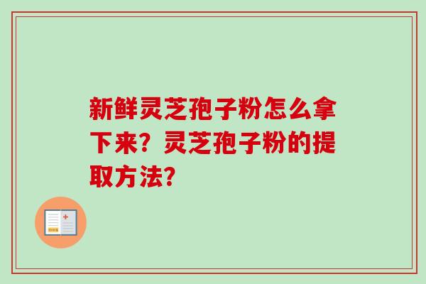 新鲜灵芝孢子粉怎么拿下来？灵芝孢子粉的提取方法？