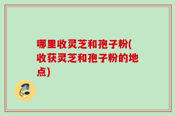 哪里收灵芝和孢子粉(收获灵芝和孢子粉的地点) 哪里收灵芝和孢子粉(收获灵芝和孢子粉的地点)
