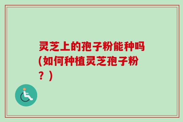 灵芝上的孢子粉能种吗(如何种植灵芝孢子粉?) 灵芝上的孢子粉能种吗(如何种植灵芝孢子粉?)