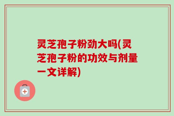 灵芝孢子粉劲大吗(灵芝孢子粉的功效与剂量一文详解)