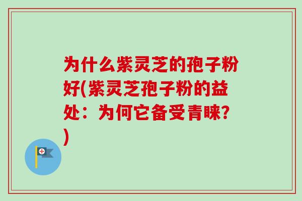 为什么紫灵芝的孢子粉好(紫灵芝孢子粉的益处:为何它备受青睐?) 为什么紫灵芝的孢子粉好(紫灵芝孢子粉的益处:为何它备受青睐?)