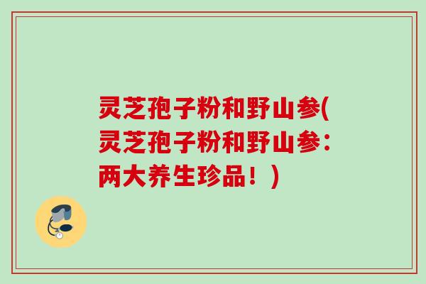 灵芝孢子粉和野山参(灵芝孢子粉和野山参:两大养生珍品!) 灵芝孢子粉和野山参(灵芝孢子粉和野山参:两大养生珍品!)