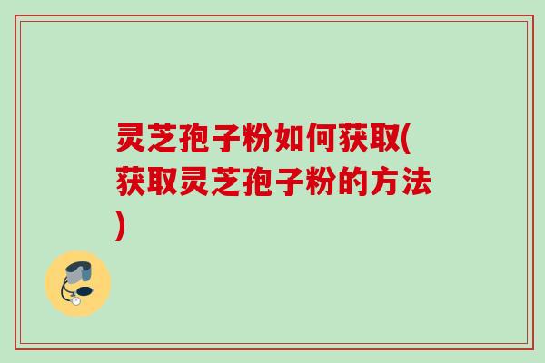 灵芝孢子粉如何获取(获取灵芝孢子粉的方法)