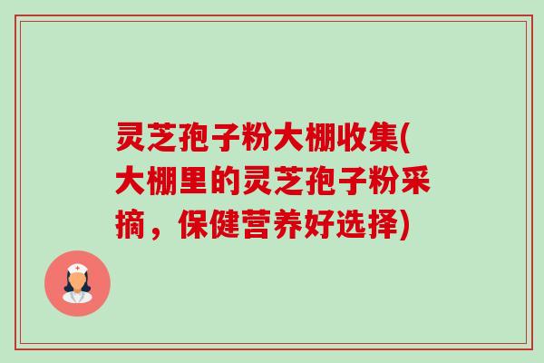 灵芝孢子粉大棚收集(大棚里的灵芝孢子粉采摘,保健营养好选择) 灵芝孢子粉大棚收集(大棚里的灵芝孢子粉采摘,保健营养好选择)