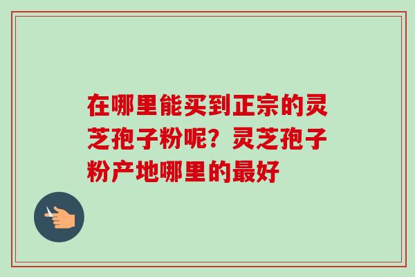 在哪里能买到正宗的灵芝孢子粉呢?灵芝孢子粉产地哪里的好 在哪里能买到正宗的灵芝孢子粉呢?灵芝孢子粉产地哪里的好
