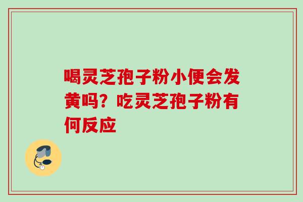 喝灵芝孢子粉小便会发黄吗?吃灵芝孢子粉有何反应 喝灵芝孢子粉小便会发黄吗?吃灵芝孢子粉有何反应