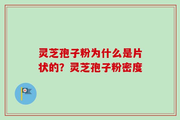 灵芝孢子粉为什么是片状的?灵芝孢子粉密度 灵芝孢子粉为什么是片状的?灵芝孢子粉密度