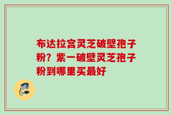 布达拉宫灵芝破壁孢子粉？紫一破壁灵芝孢子粉到哪里买好