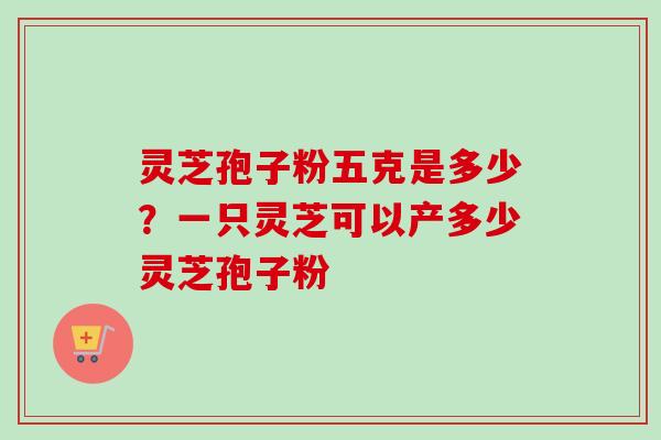灵芝孢子粉五克是多少？一只灵芝可以产多少灵芝孢子粉