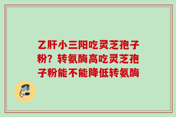 小三阳吃灵芝孢子粉?转氨酶高吃灵芝孢子粉能不能降低转氨酶 小三阳吃灵芝孢子粉?转氨酶高吃灵芝孢子粉能不能降低转氨酶